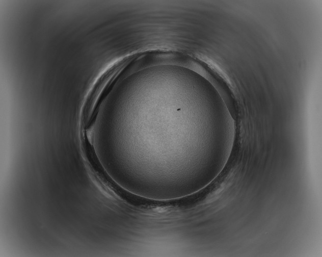 X0000088390584200705221116