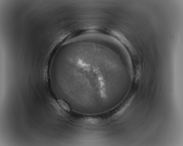 X0000088390585200705221116