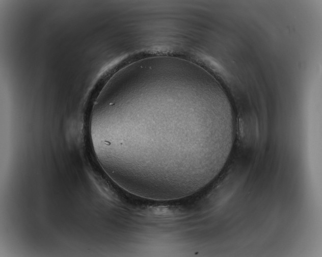 X0000088390588200705221116