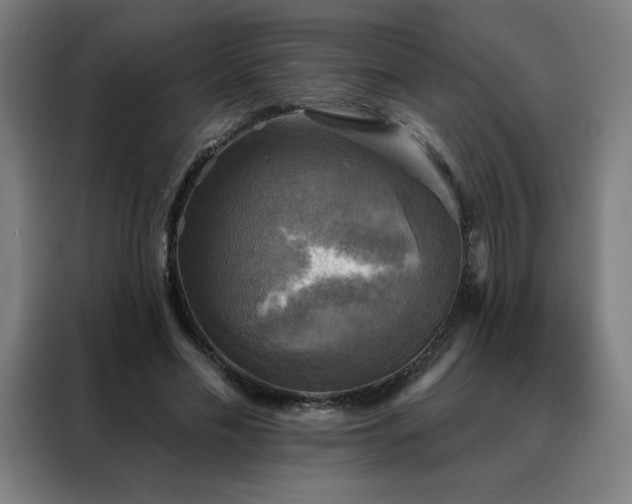 X0000088390589200705221116