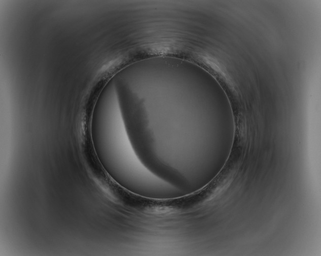 X0000088390590200705221116