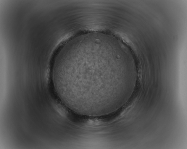 X0000088390591200705221116