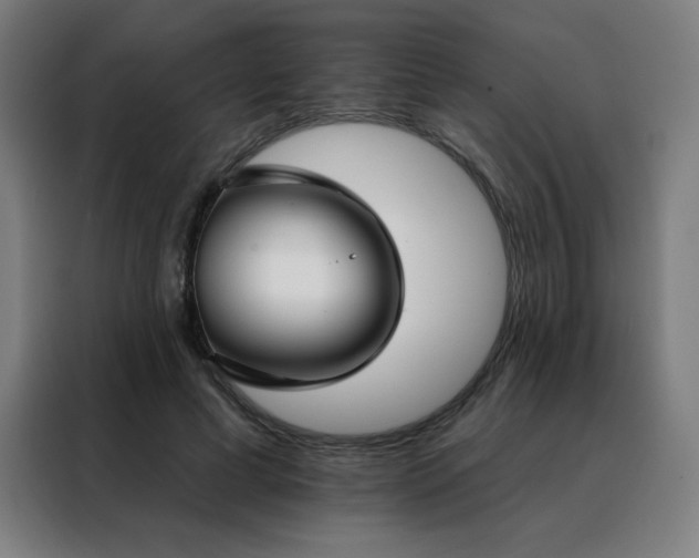 X0000088390593200705221116