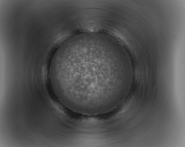 X0000088390594200705221116