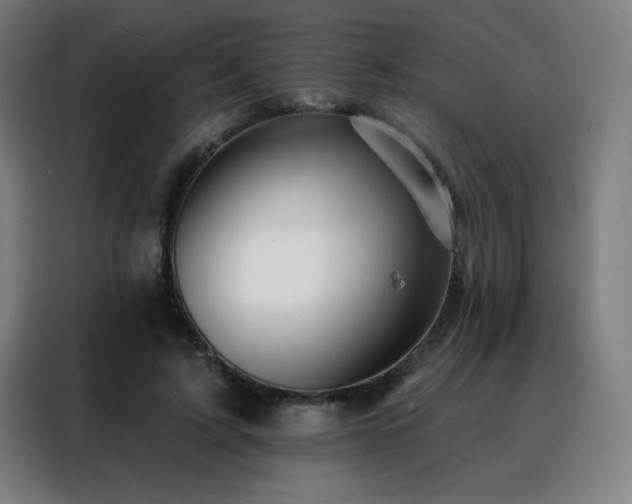 X0000088390595200705221116