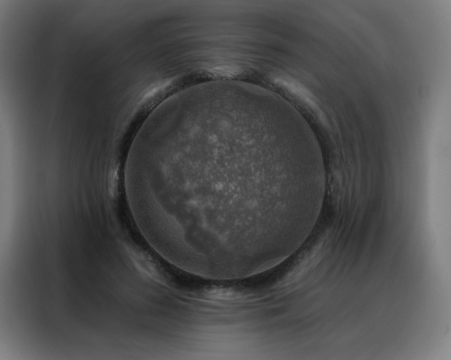 X0000088390596200705221116