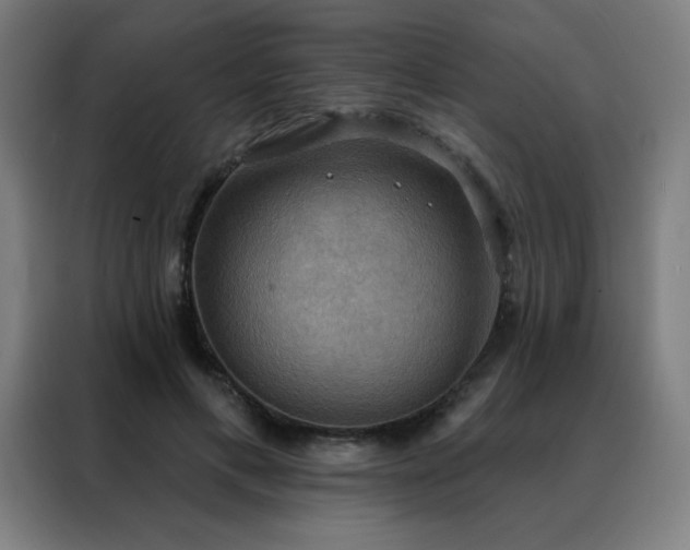 X0000088390597200705221116