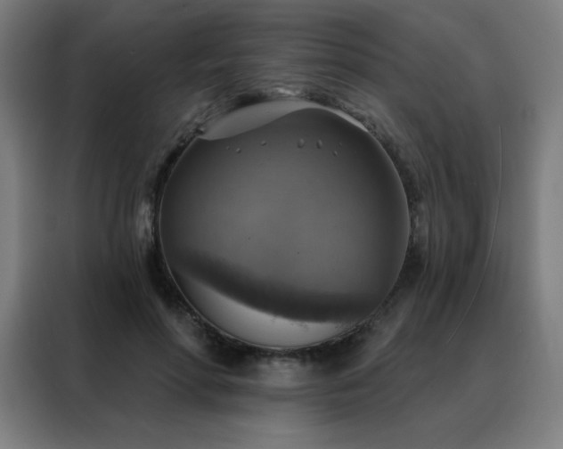 X0000088390598200705221116