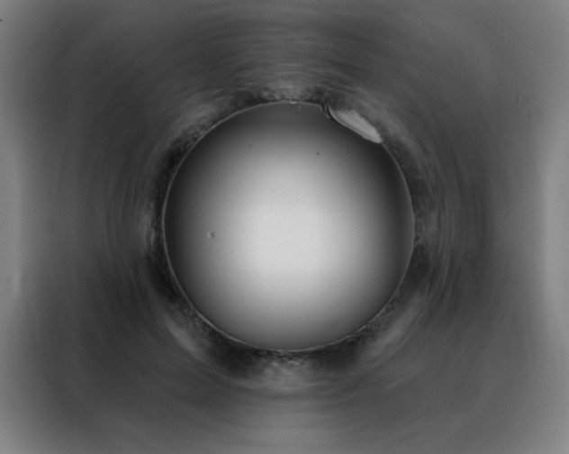 X0000088390599200705221116