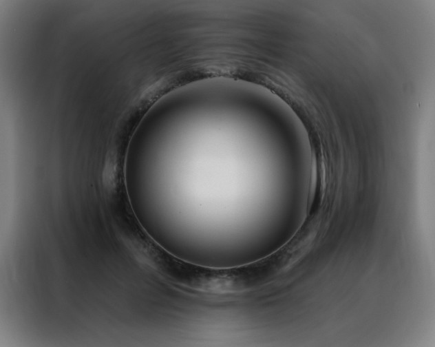 X0000088390600200705221116