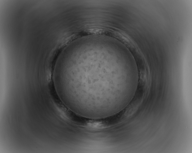 X0000088390602200705221116