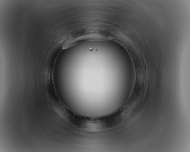 X0000088390603200705221116