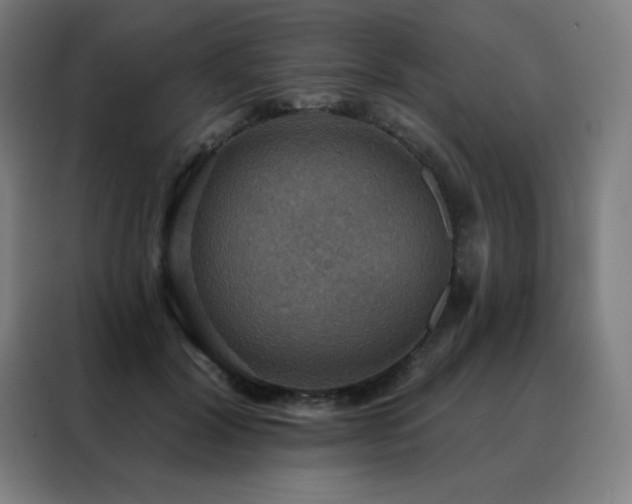 X0000088390604200705221116