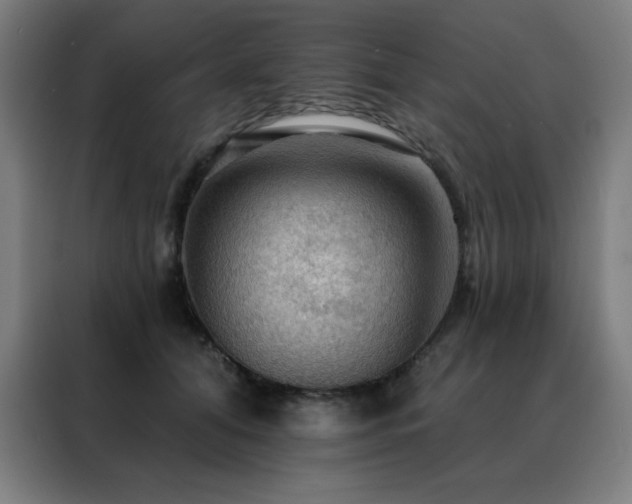 X0000088390608200705221116