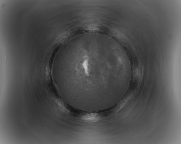 X0000088390609200705221116