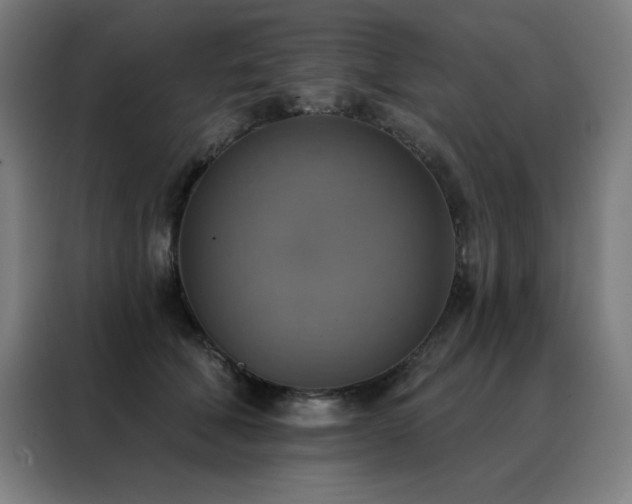 X0000088390610200705221116