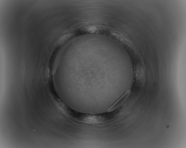 X0000088390611200705221116