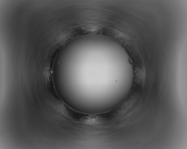 X0000088390612200705221116