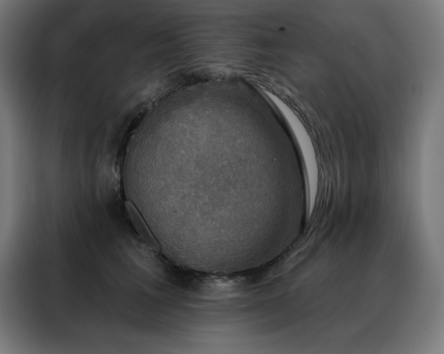 X0000088390613200705221116