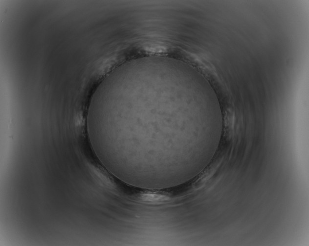 X0000088390614200705221116