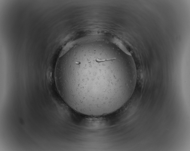 X0000088390615200705221116