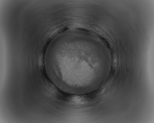 X0000088390616200705221116