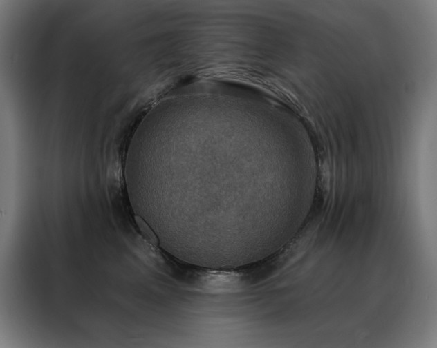 X0000088390617200705221116