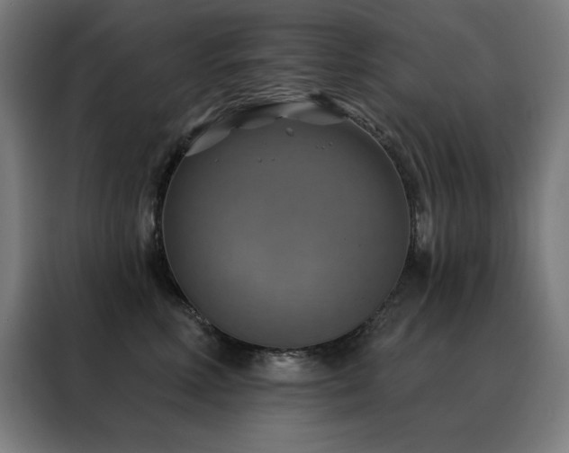 X0000088390618200705221116