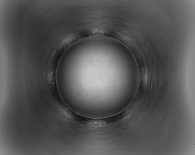 X0000088390619200705221116