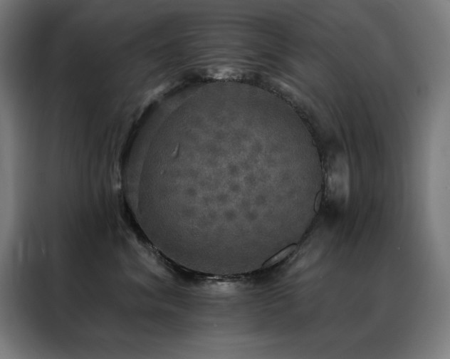 X0000088390620200705221116