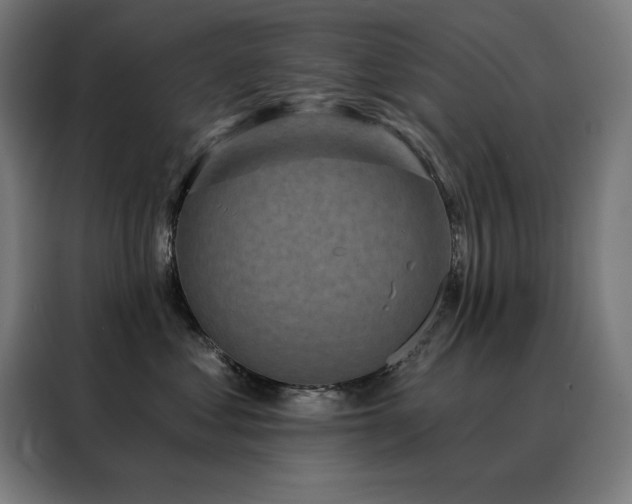 X0000088390621200705221116