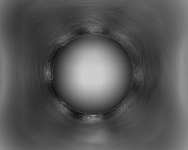 X0000088390622200705221116