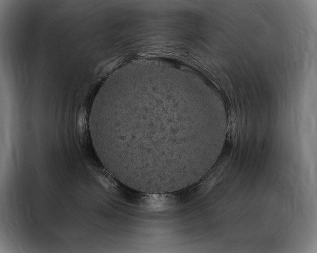 X0000088390623200705221116