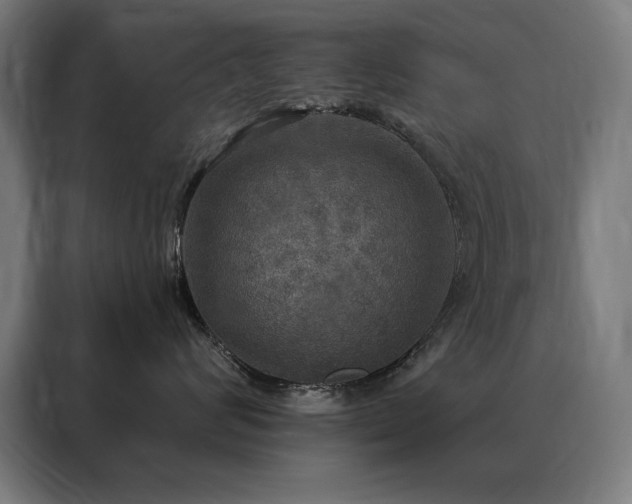 X0000088390624200705221116