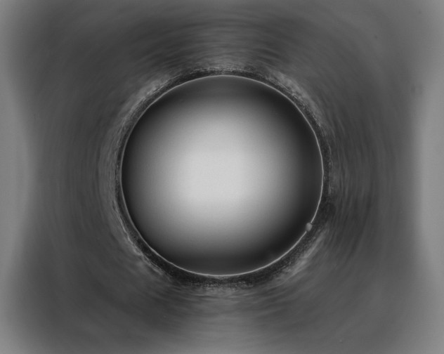 X0000088390625200705221115