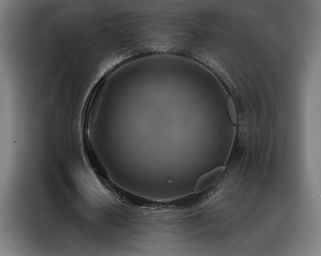 X0000088390626200705221115