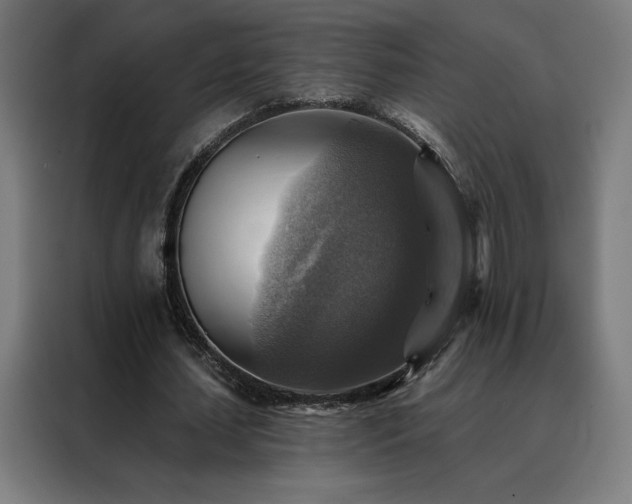 X0000088390627200705221115