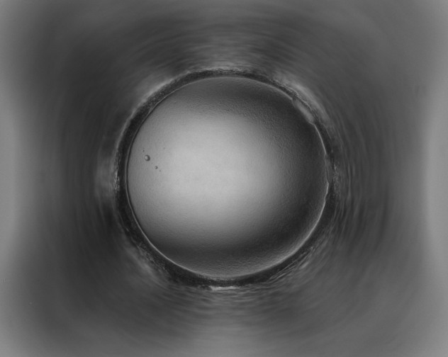 X0000088390628200705221115