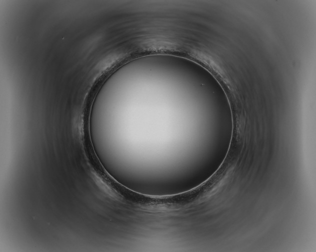 X0000088390629200705221115