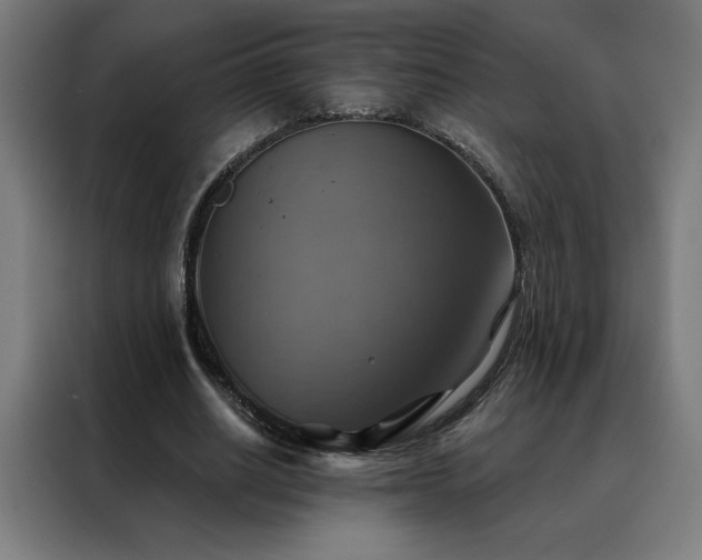 X0000088390630200705221115