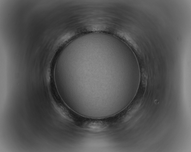 X0000088390631200705221115