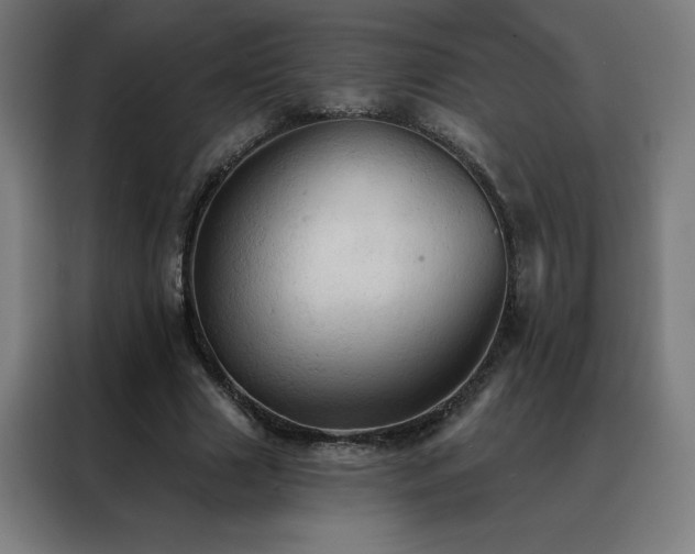 X0000088390633200705221115