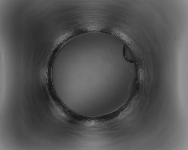 X0000088390634200705221115