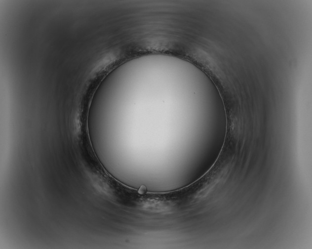 X0000088390635200705221115