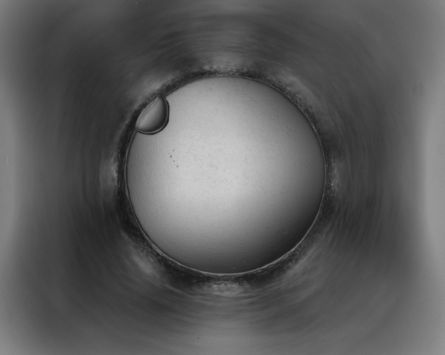 X0000088390636200705221115