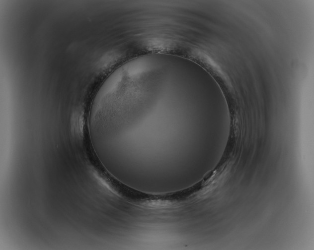 X0000088390637200705221115