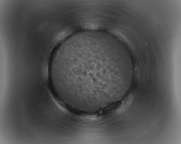 X0000088390638200705221115