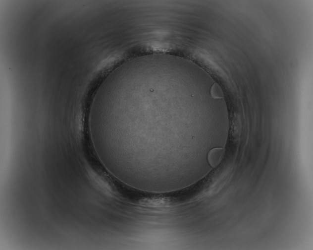 X0000088390639200705221115