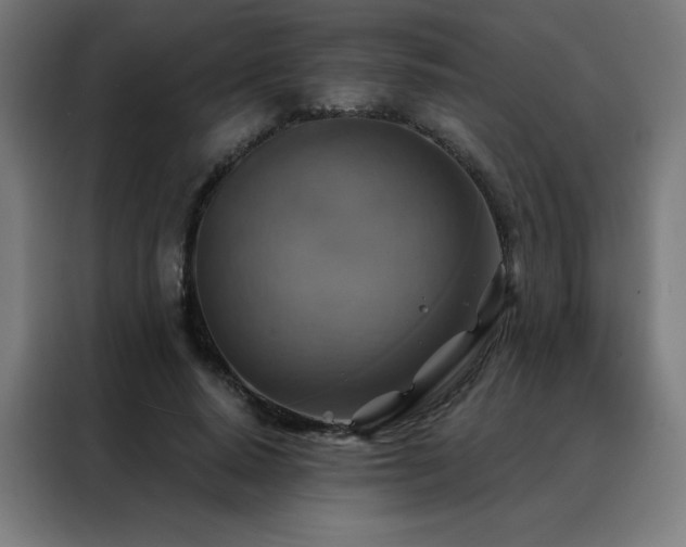 X0000088390640200705221115