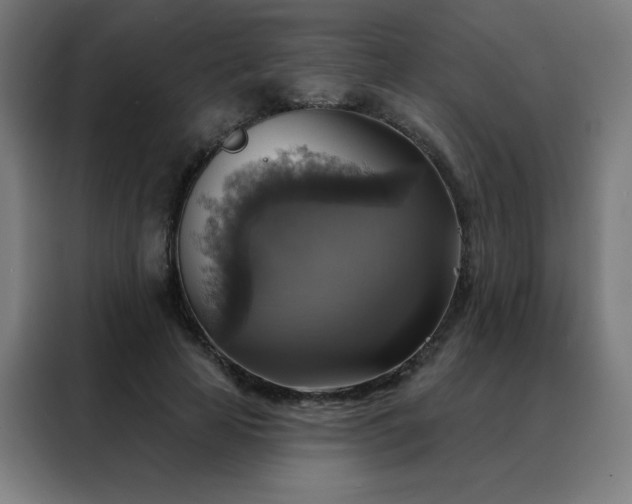 X0000088390641200705221115